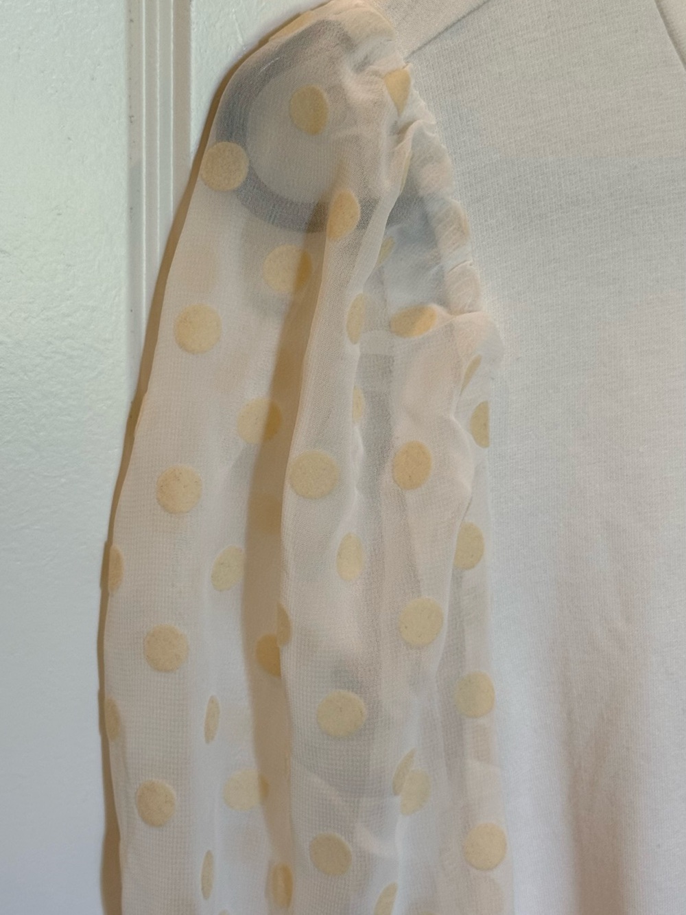 LOFT Cream Polka Dot Sheer-Sleeve Long Sleeve Top - Picture 2 of 5